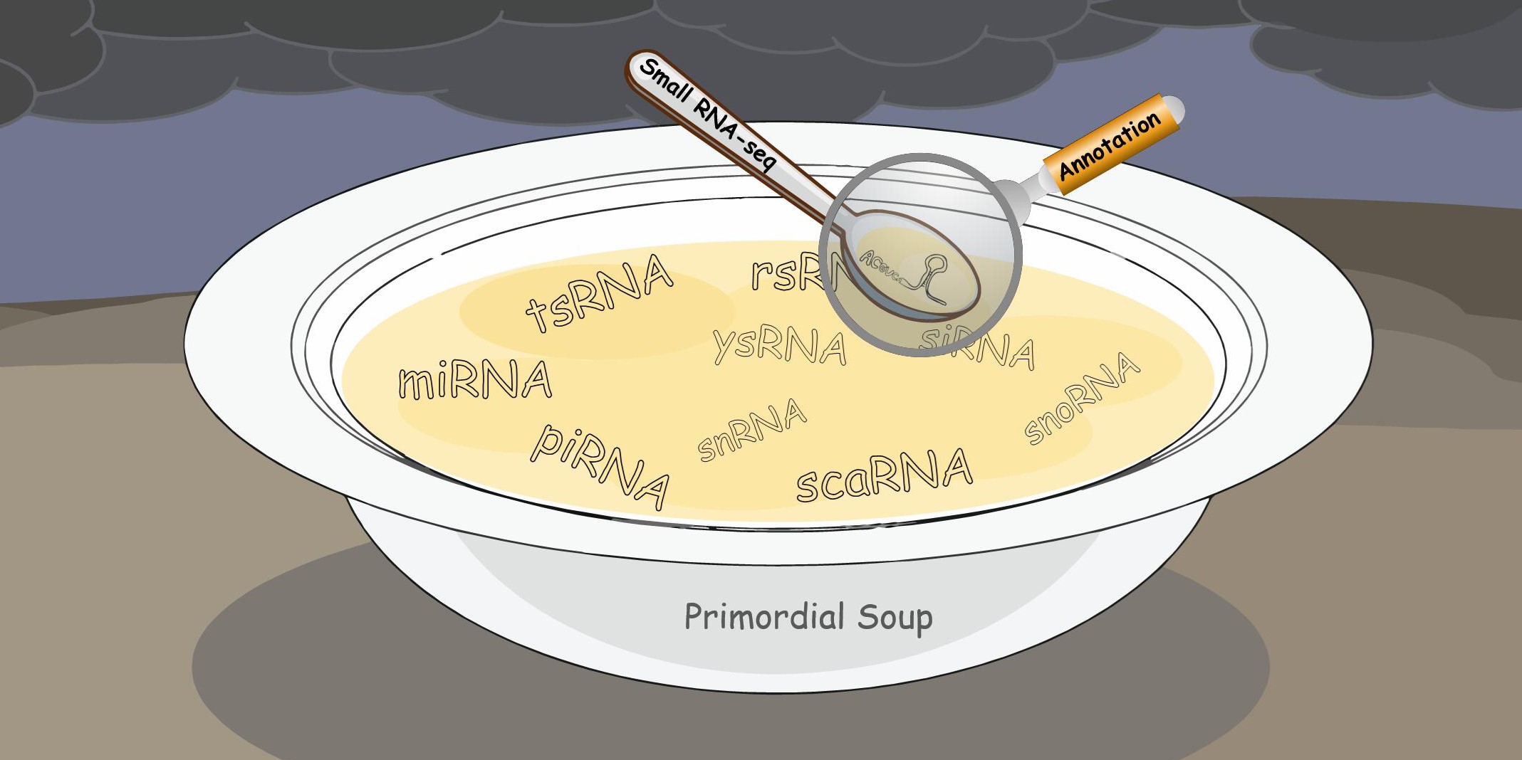 Small non-coding RNA analysis tools illustration