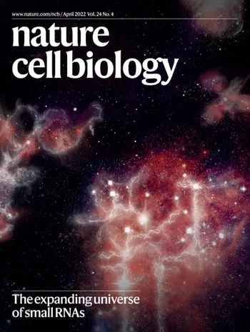 Exploring the expanding universe of small RNAs